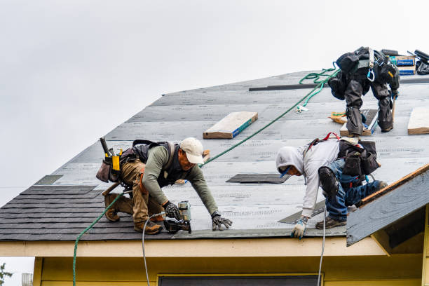 Professional Gutter Installation technician working in Nolanville, TX